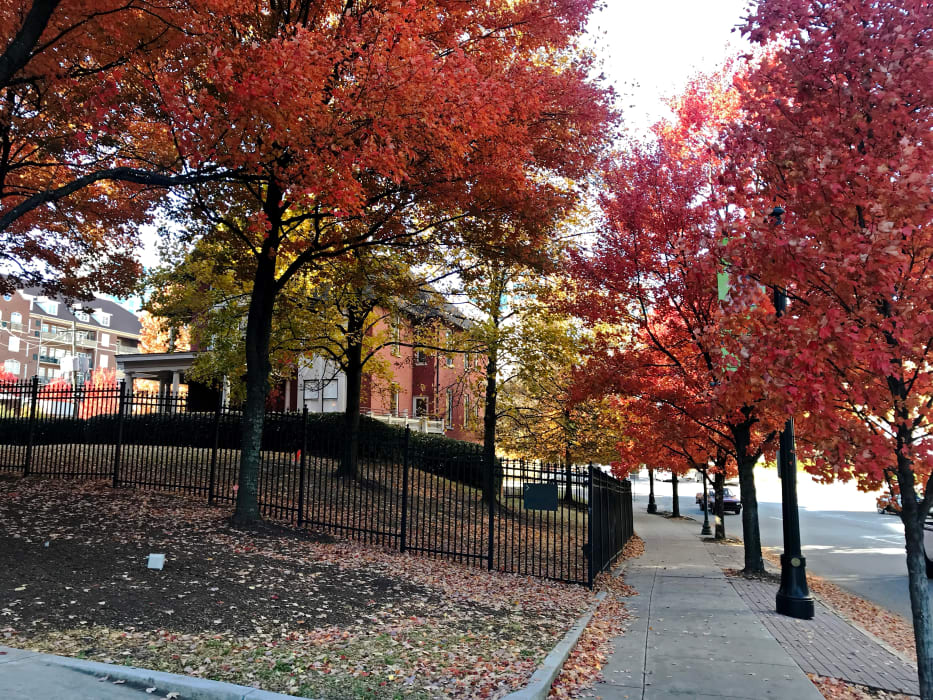 Margaret Mitchell House at Atlanta History Center Midtown