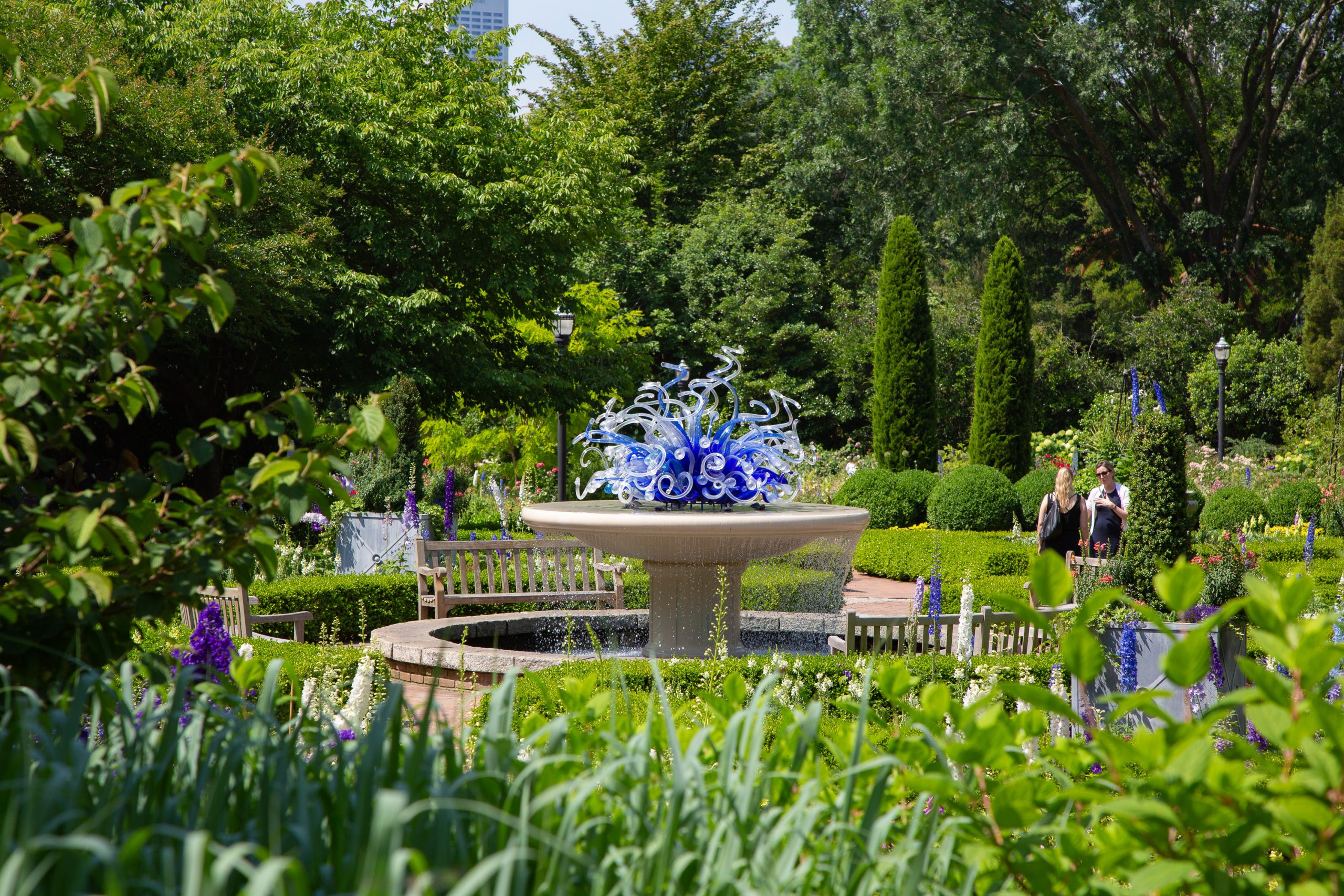 Atlanta Botanical Garden Chihuly sculpture