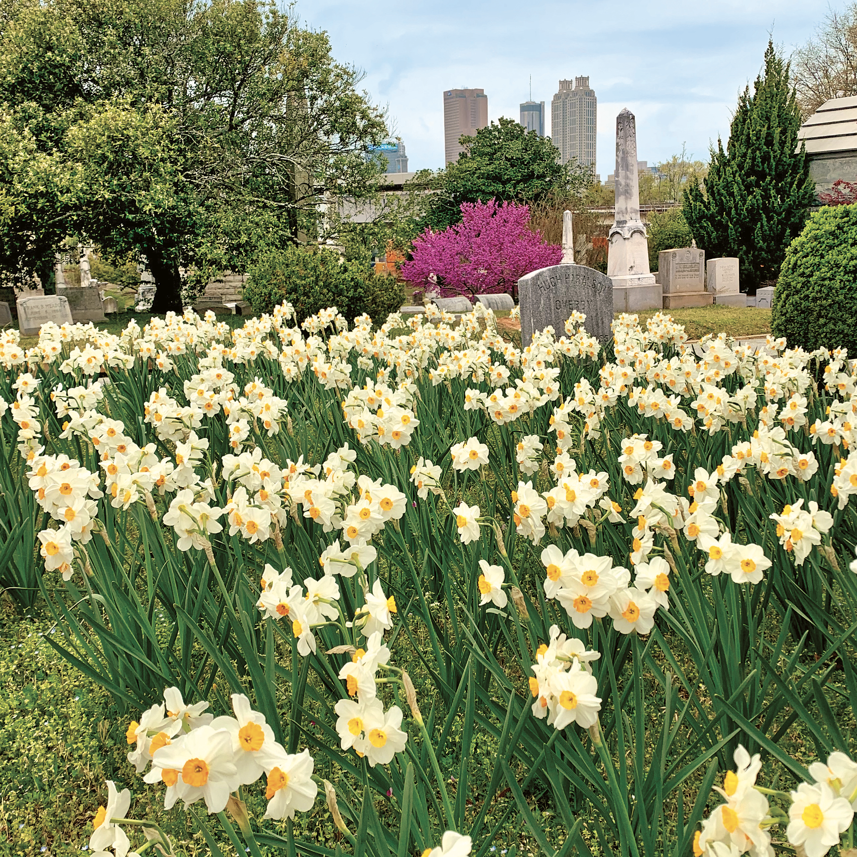 Visit Oakland Cemetery on Valentine's Day