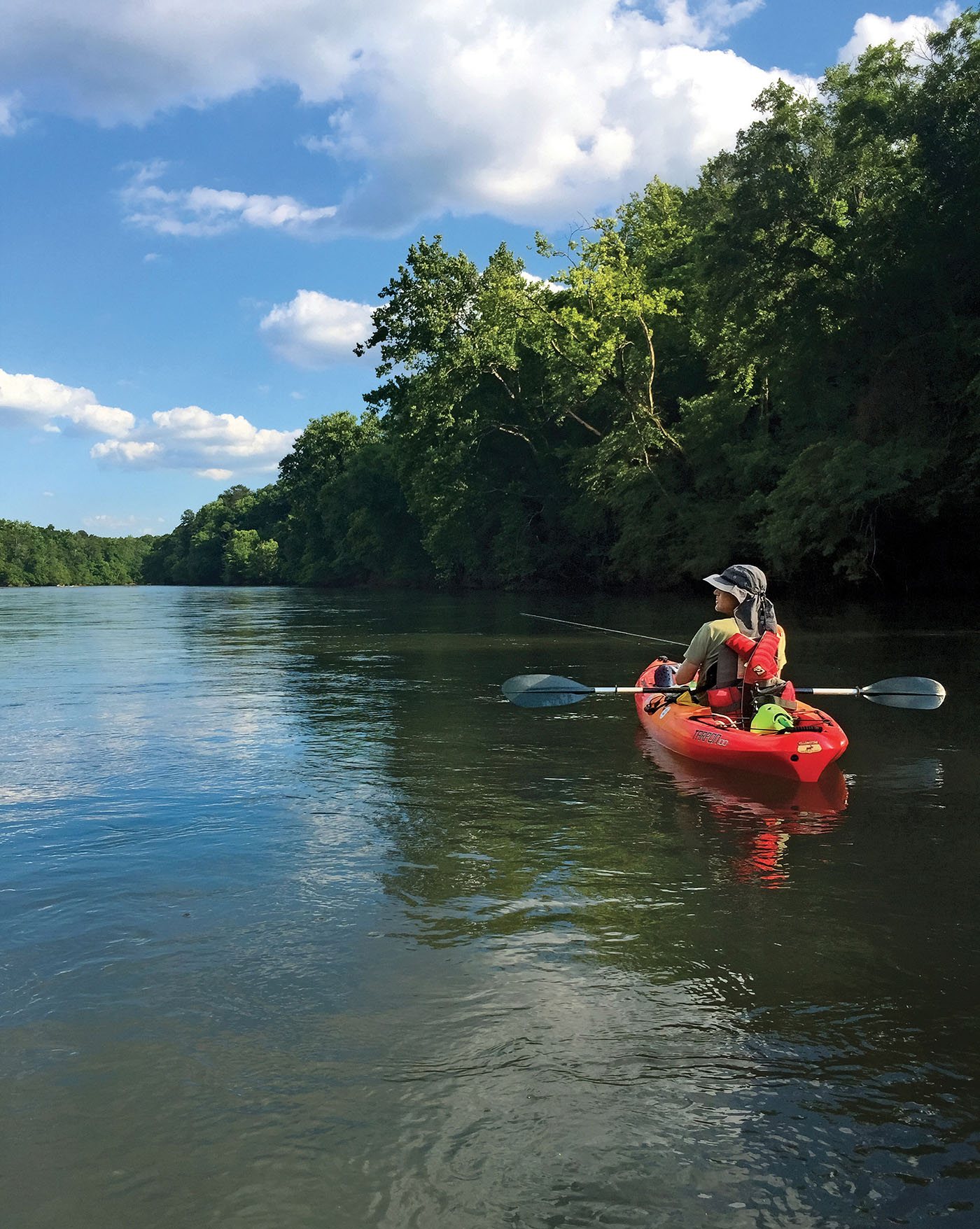 Kayak Rentals Tours Guided Tours Of Little Rock, 54% OFF