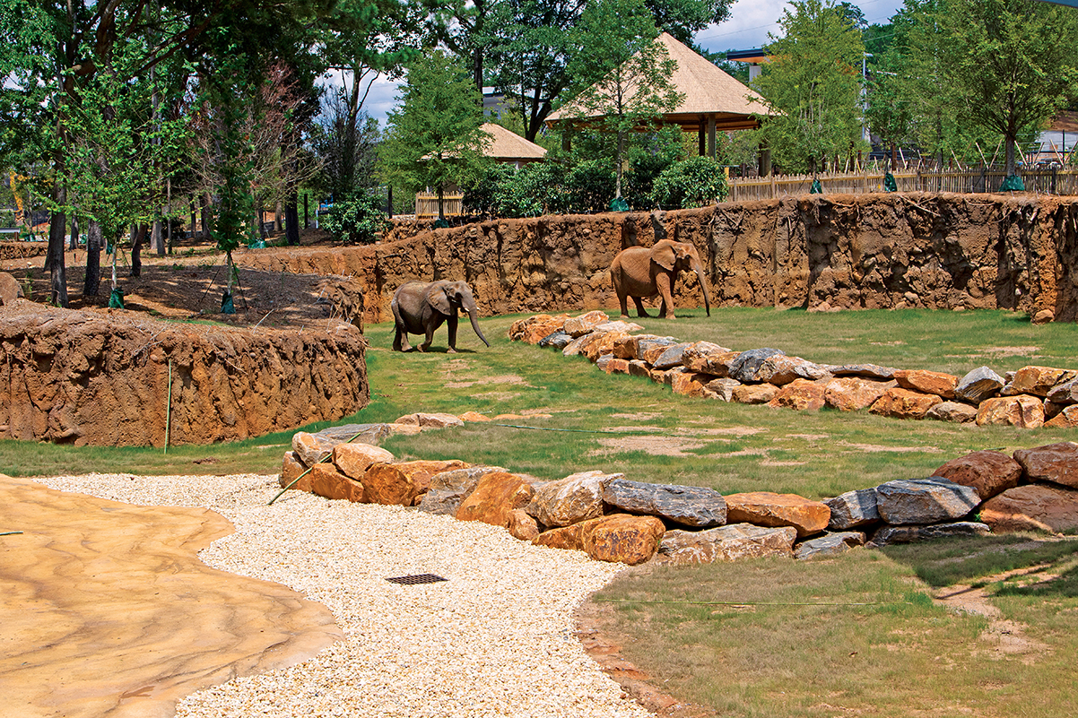 Cool Things to Do in Atlanta for Teens and Tweens 2 Cool Things to Do in Atlanta for Teens and Tweens