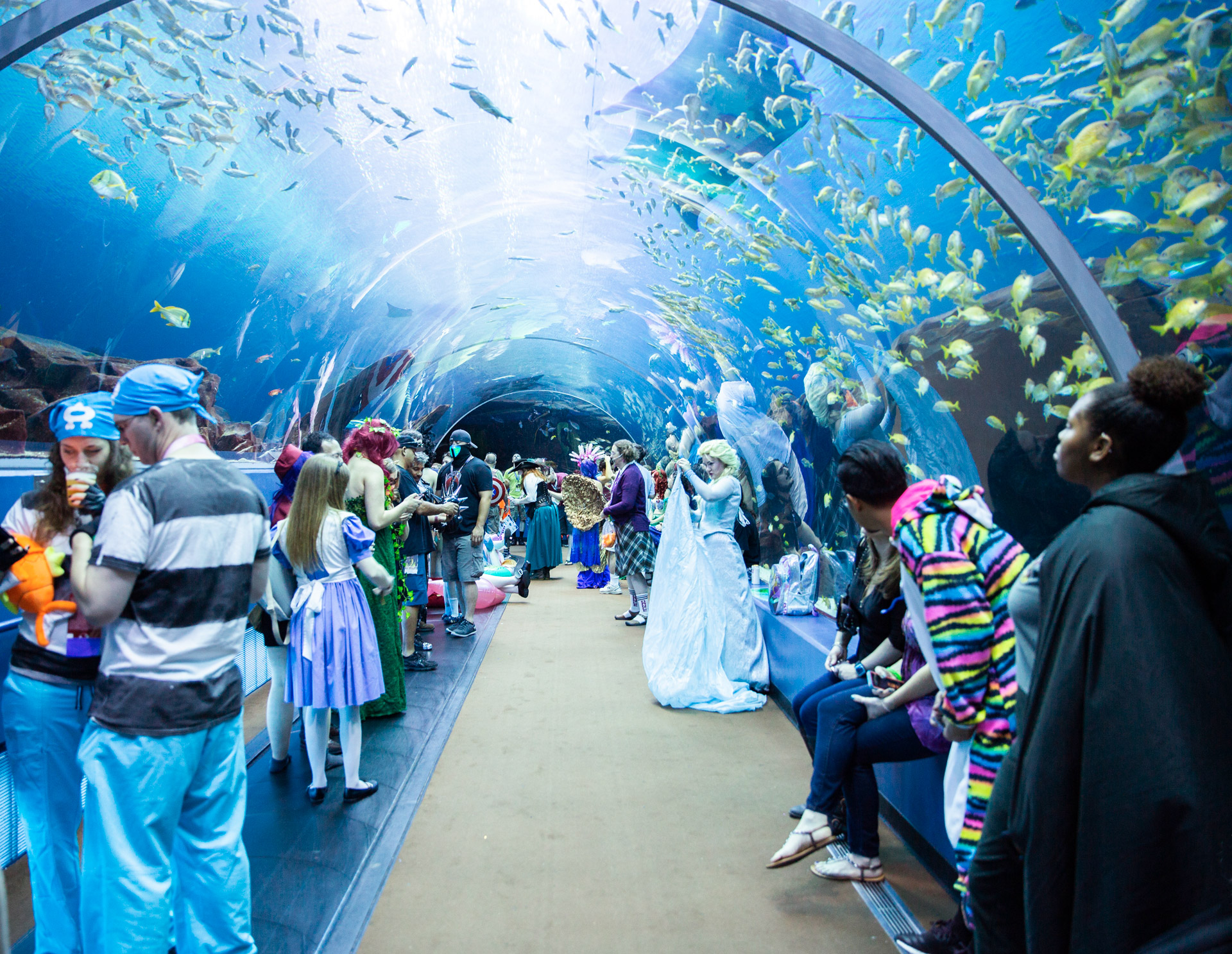 Georgia Aquarium hosts an after-hours Dragon Con event