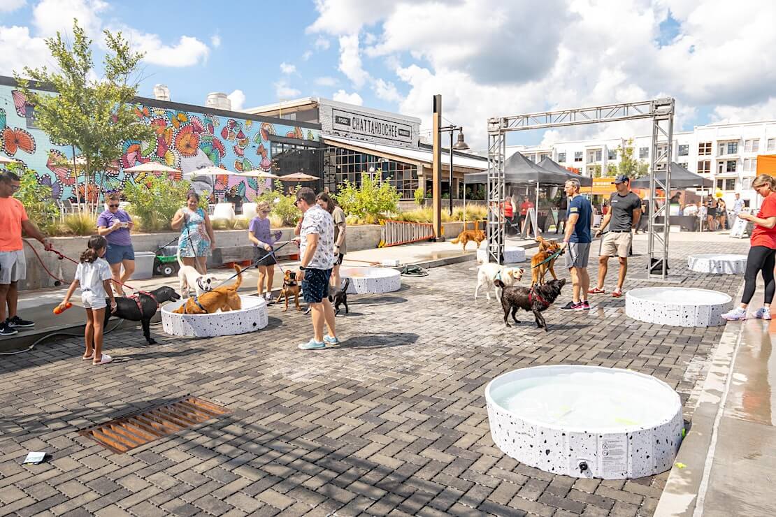 Photos of dogs outdoors at The Works