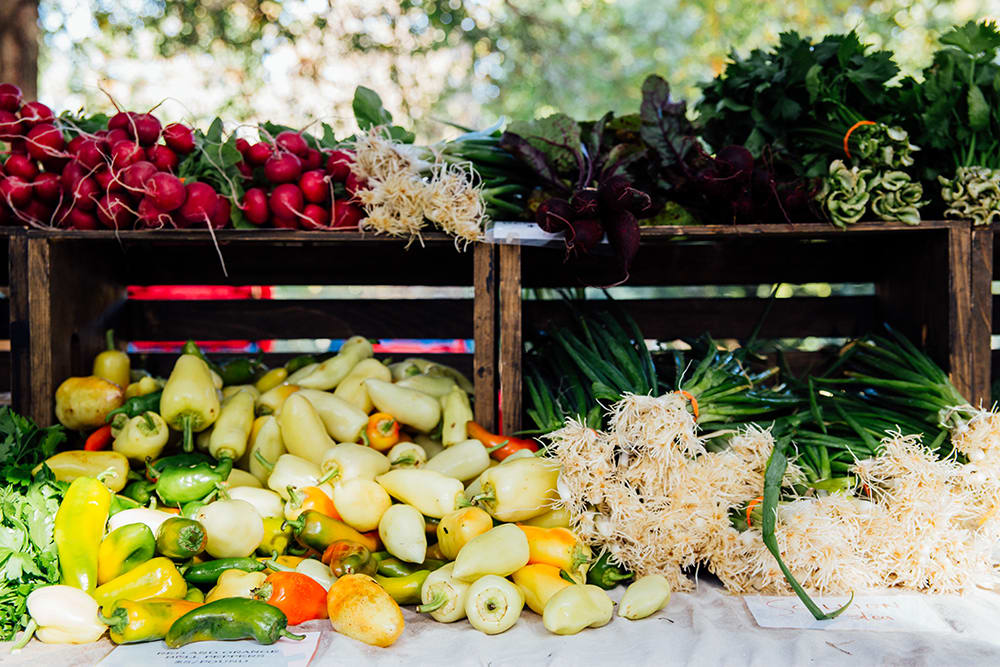 Freedom Farmers Market