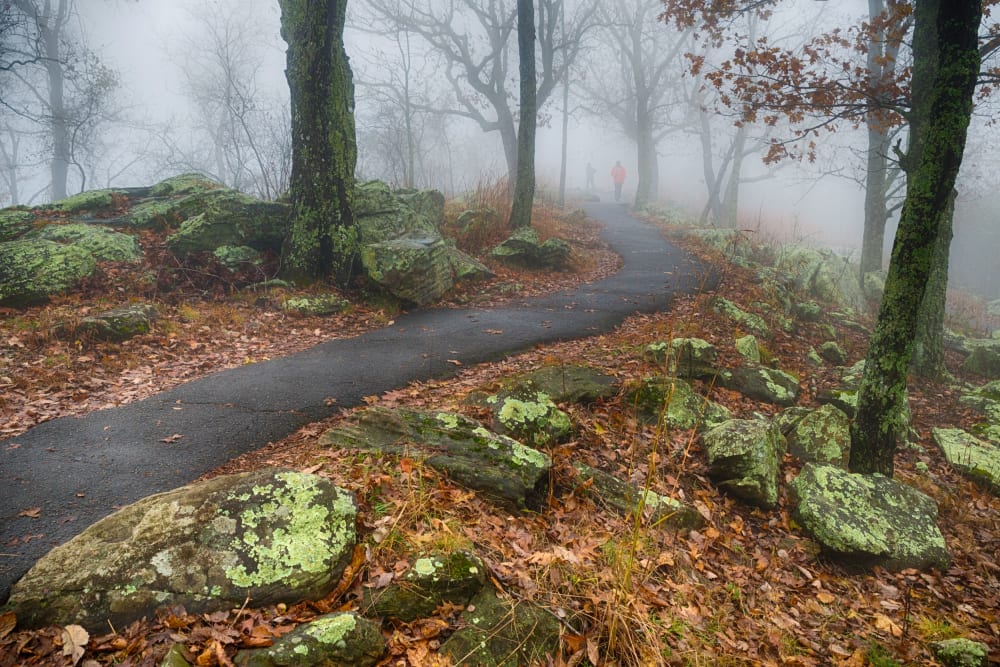 Kennesaw Mountain National Battlefield Park 2 Hiking path on misty morning at Kennesaw Mountain