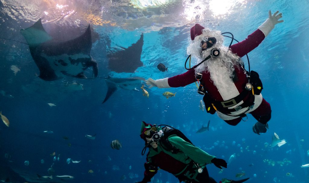 Santa and his Christmas elf in the aquarium at Georgia Aquarium