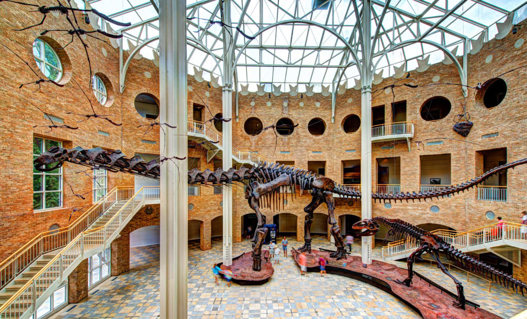 Fernbank Museum of Natural History 1 Fernbank Museum of Natural History