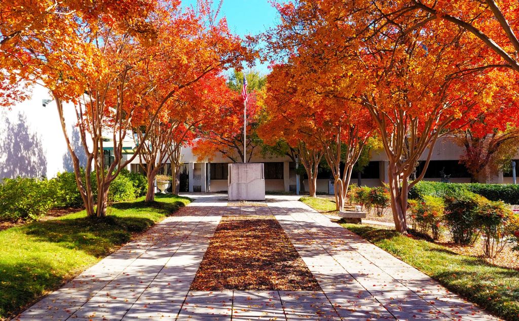 The entrance to The Breman Museum in fall with orange trees lining the walkway.
