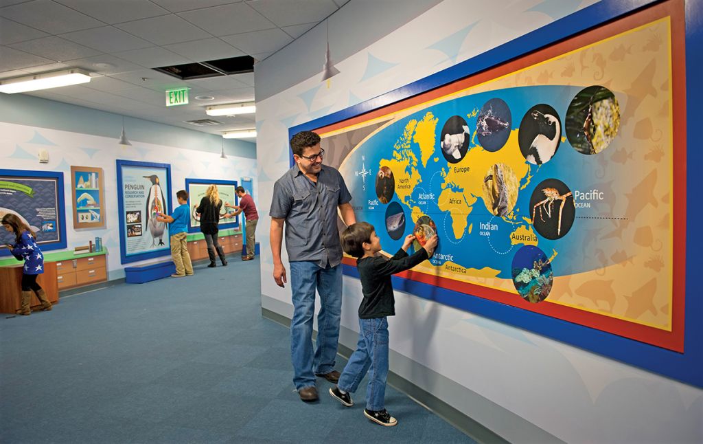 Men and boy looking at map on a wall.