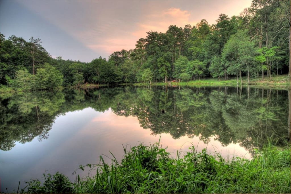 Panola Mountain State Park