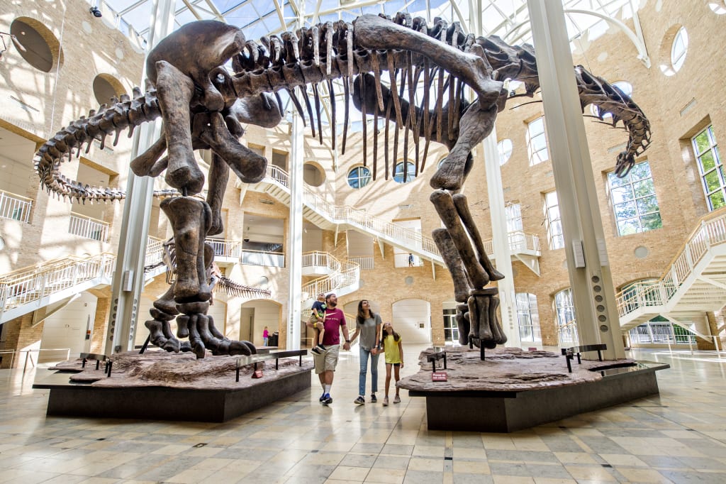 A family admires a massive dinosaur skeleton in a spacious, sunlit museum hall in Atlanta, Georgia.