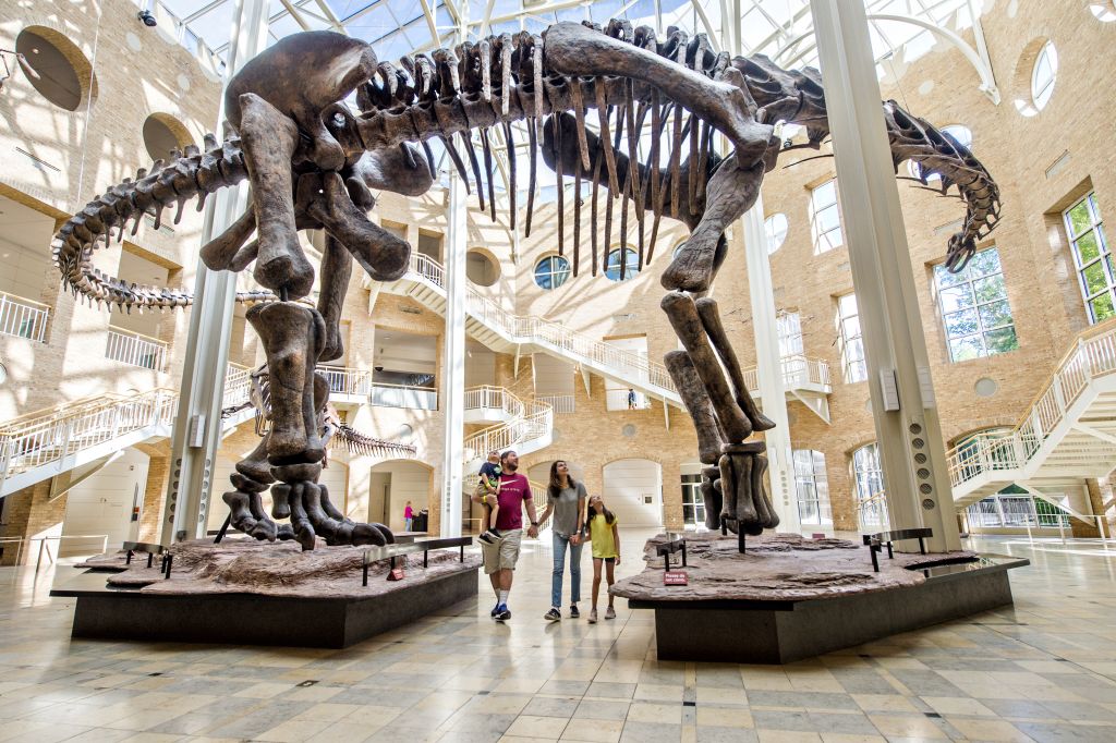 A family admires a massive dinosaur skeleton in a spacious, sunlit museum hall in Atlanta, Georgia.
