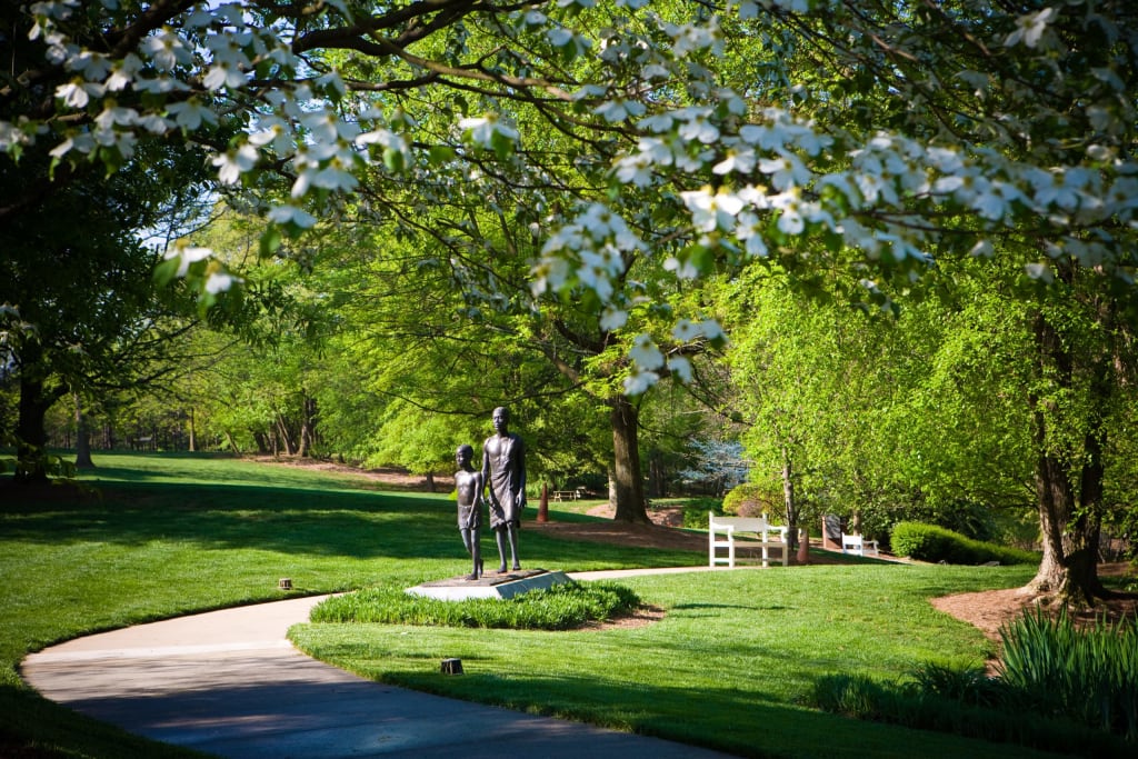 Carter Center Park