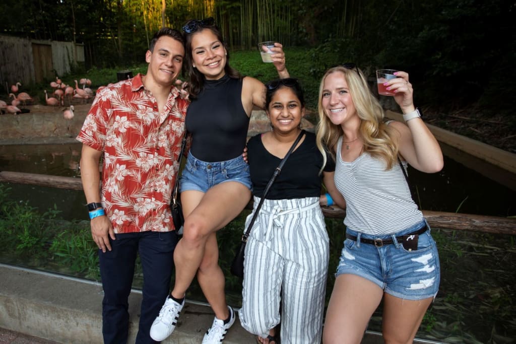 image of the Brew at the Zoo at Zoo Atlanta