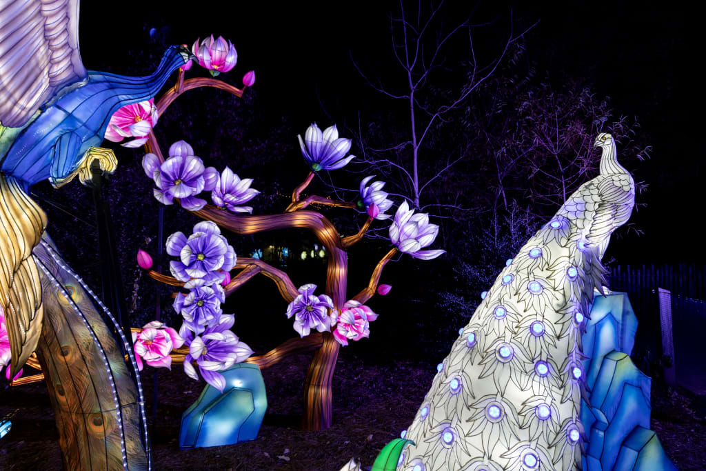 Illuminated peacock and phoenix sculptures with glowing flowers in a dark garden setting in Atlanta, Georgia.