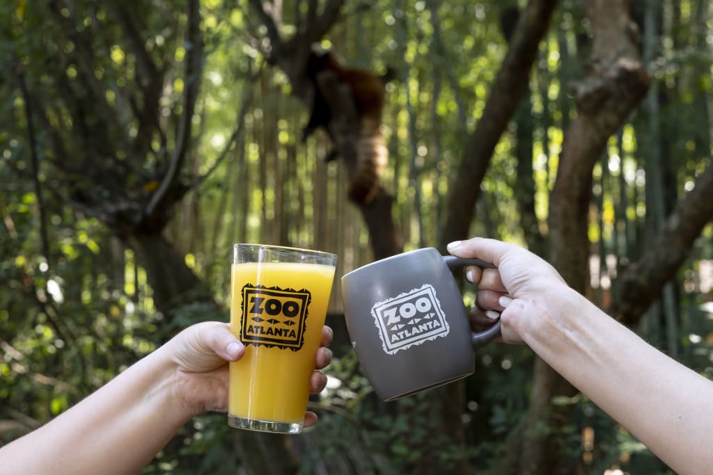 Two hands raise a glass of orange juice and a mug with 'Zoo Atlanta' logos in a forest setting in Atlanta, Georgia.