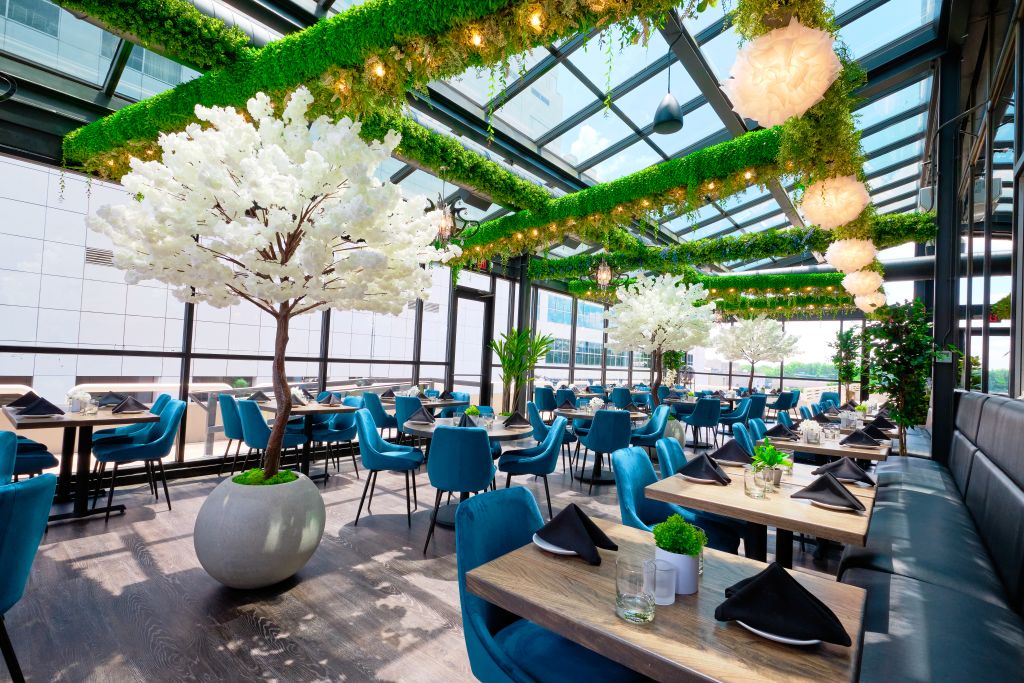 Patio with blue chairs and a white tree. 