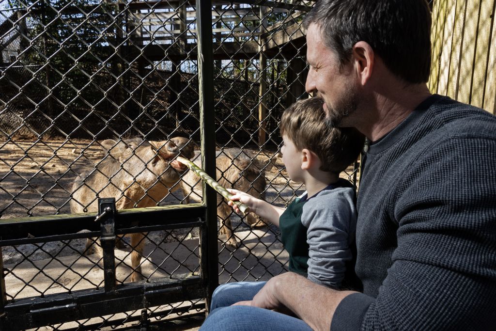 A man and child feed a camel through a zoo enclosure fence in Atlanta, Georgia.