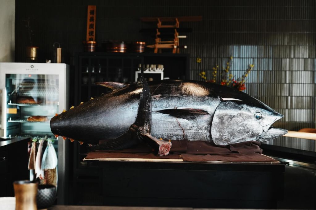 A large, freshly caught tuna fish is displayed on a table in a restaurant kitchen, showcasing its impressive size and shiny silver scales in Atlanta, Georgia.