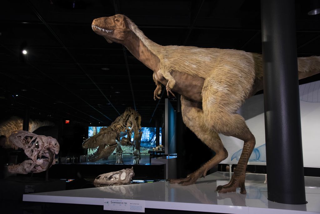A life-sized, realistic Tyrannosaurus rex model stands in a museum exhibit, surrounded by fossilized dinosaur skeletons and a large screen displaying prehistoric scenes in Atlanta, Georgia.