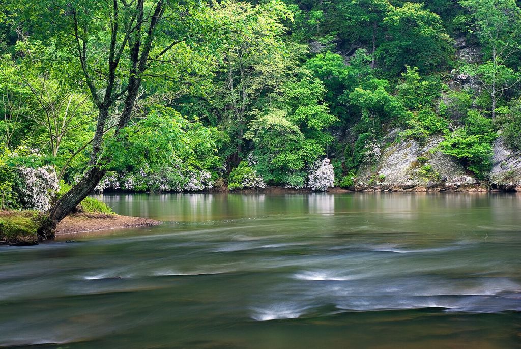 A serene river winds through a lush, green forest, reflecting the vibrant foliage and rocky cliffs in Atlanta, Georgia.