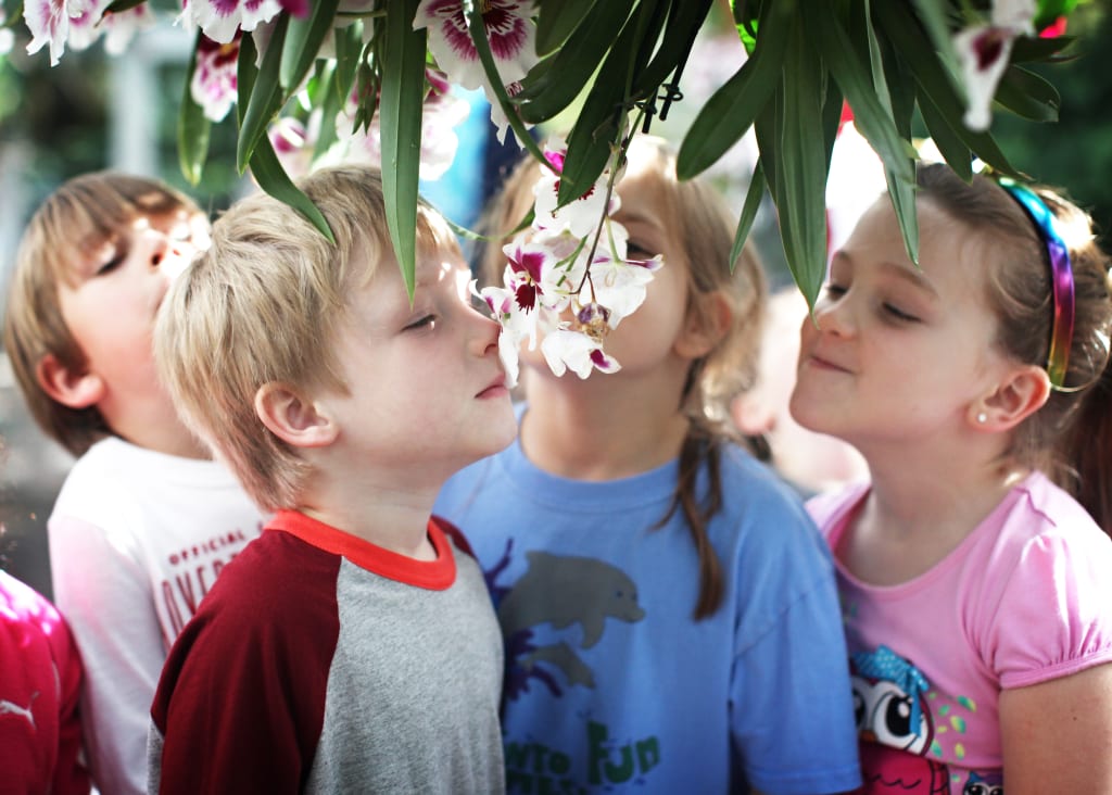 A group of children are gathered under a hanging basket of flowers, smelling and admiring them in Atlanta, Georgia.