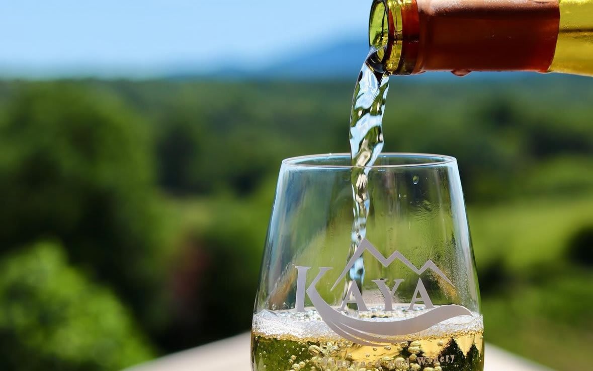 Exploring the Best Wineries Near Atlanta: A Guide to Vineyards and Tastings 4 Exploring the Best Wineries Near Atlanta: A Guide to Vineyards and Tastings