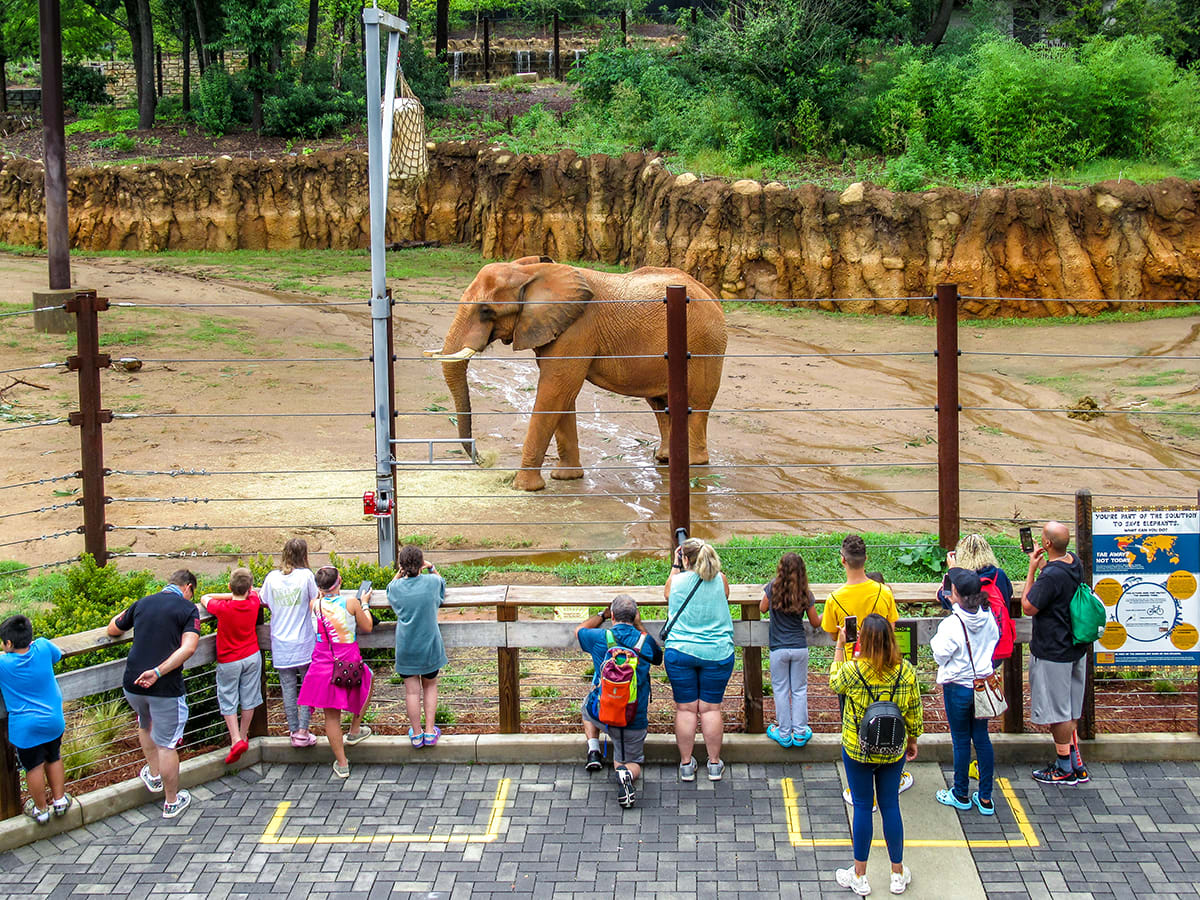 Grant Park 2 Atlanta Zoo