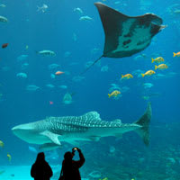 Top Attractions 1 Top Attractions