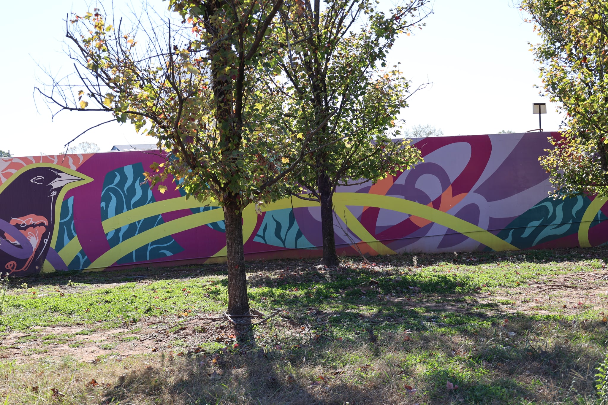 image of Passerine on the beltline in atlanta