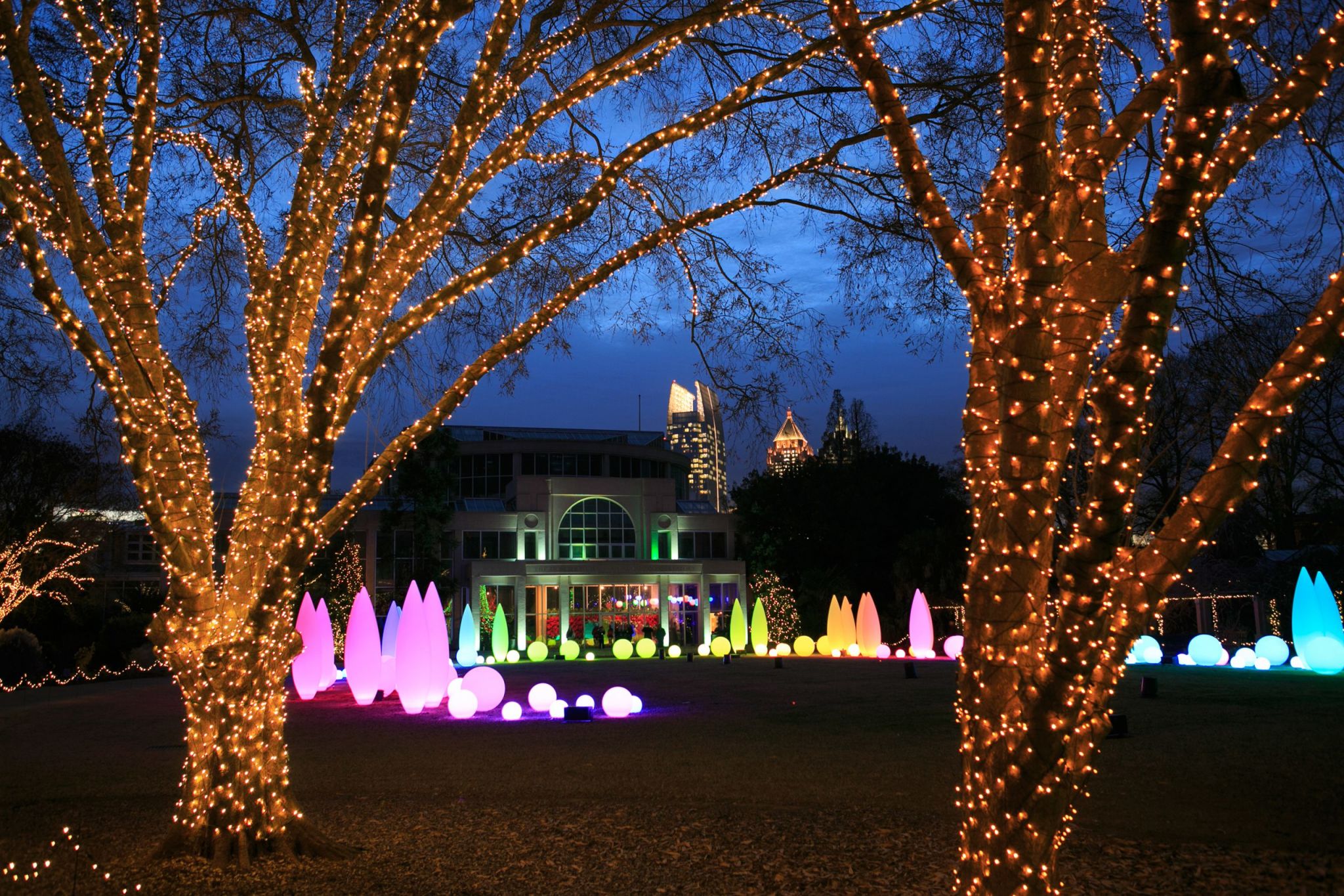 See the spectacular display at Atlanta Botanical Garden