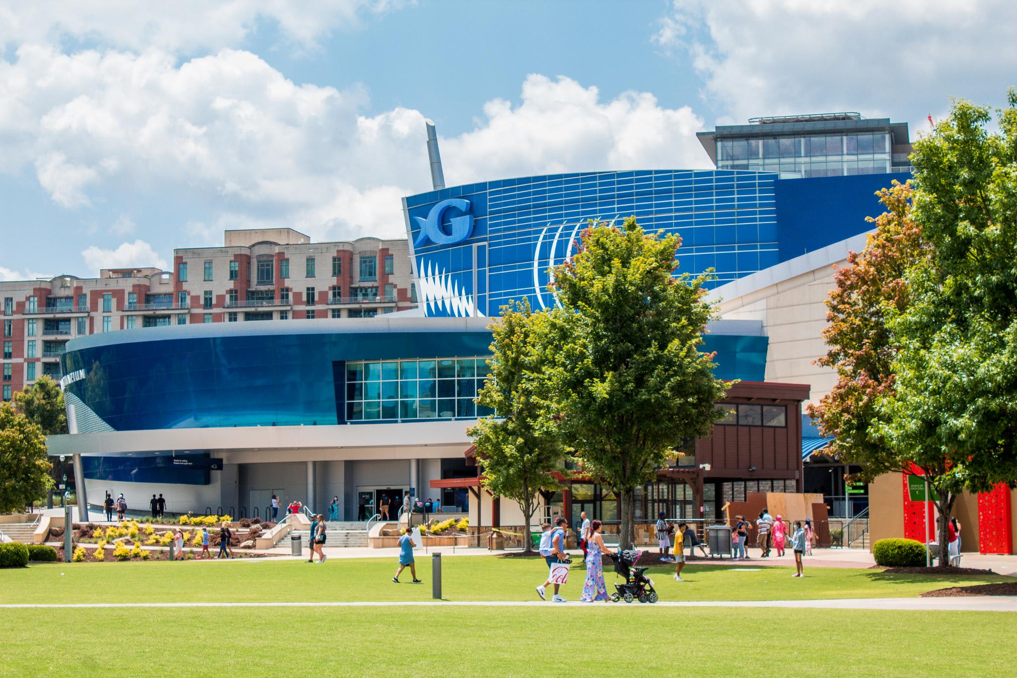 Let your imagination soar into another world at Georgia Aquarium.