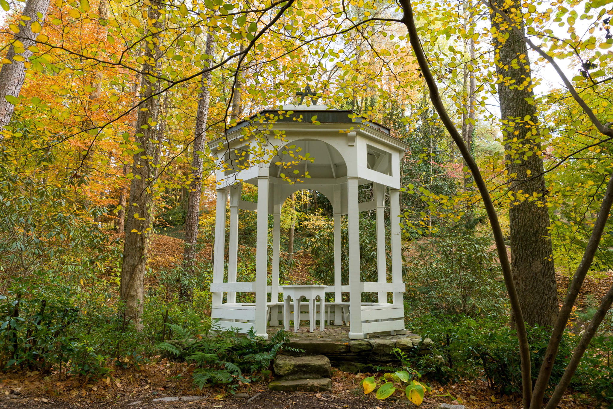 White gazebo nestled in autumn forest with colorful leaves and stone steps in Atlanta, Georgia.