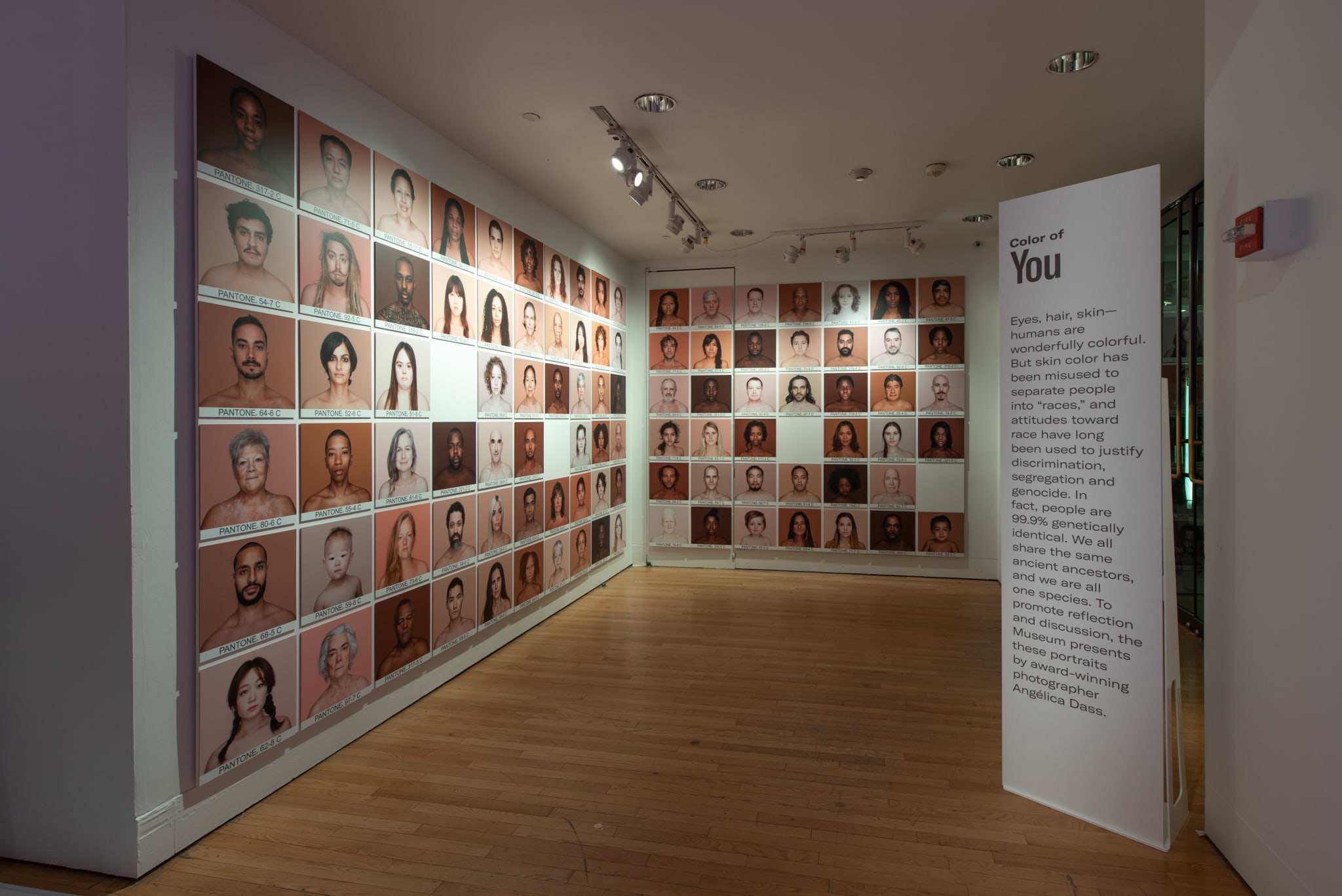 Art gallery with large wall displays of diverse human faces and a central sign titled 'Color of You' in Atlanta, Georgia.