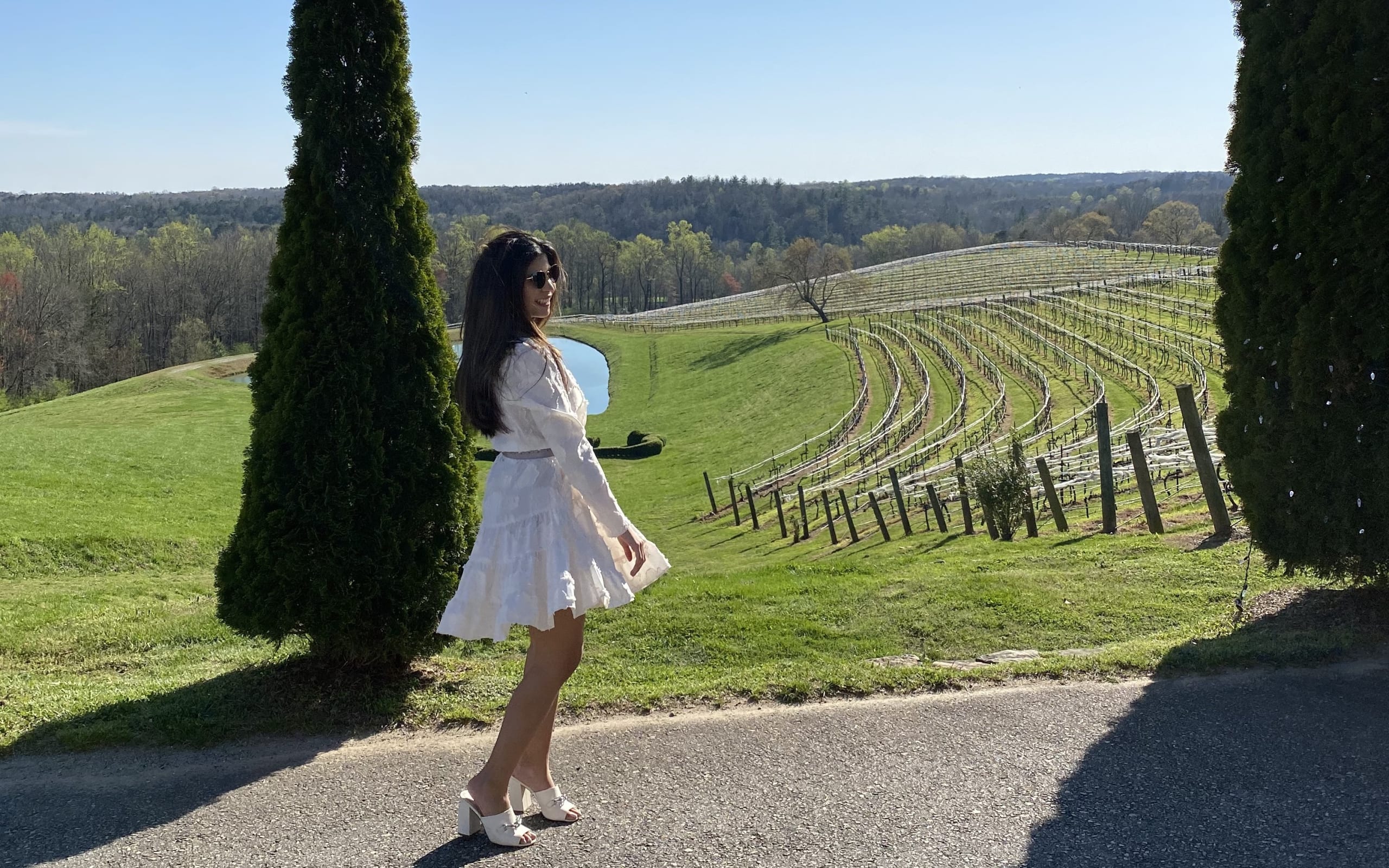 Exploring the Best Wineries Near Atlanta: A Guide to Vineyards and Tastings 1 Exploring the Best Wineries Near Atlanta: A Guide to Vineyards and Tastings