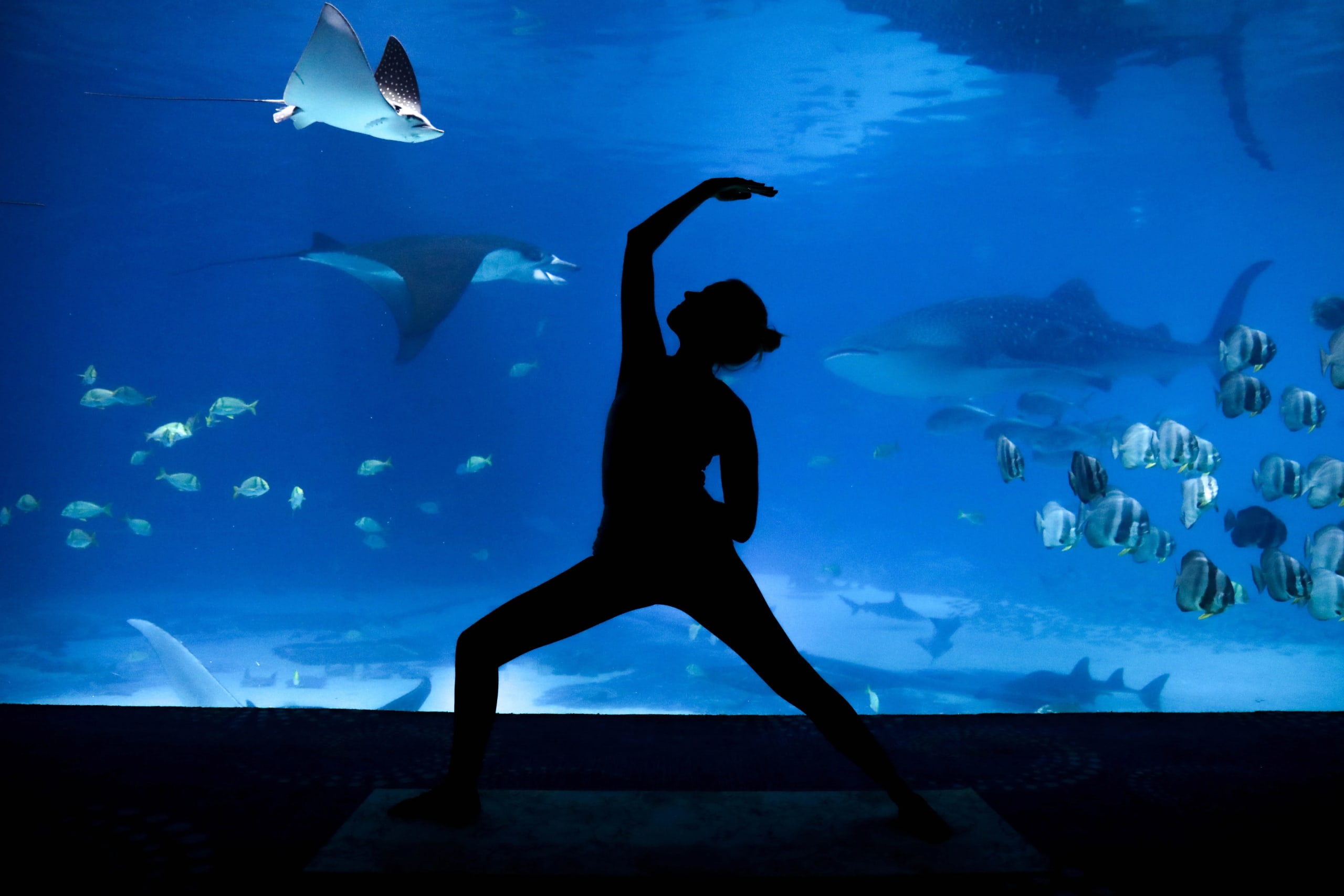 A woman in a yoga post in front of the manta rays and whale sharks at Georgia Aquarium.