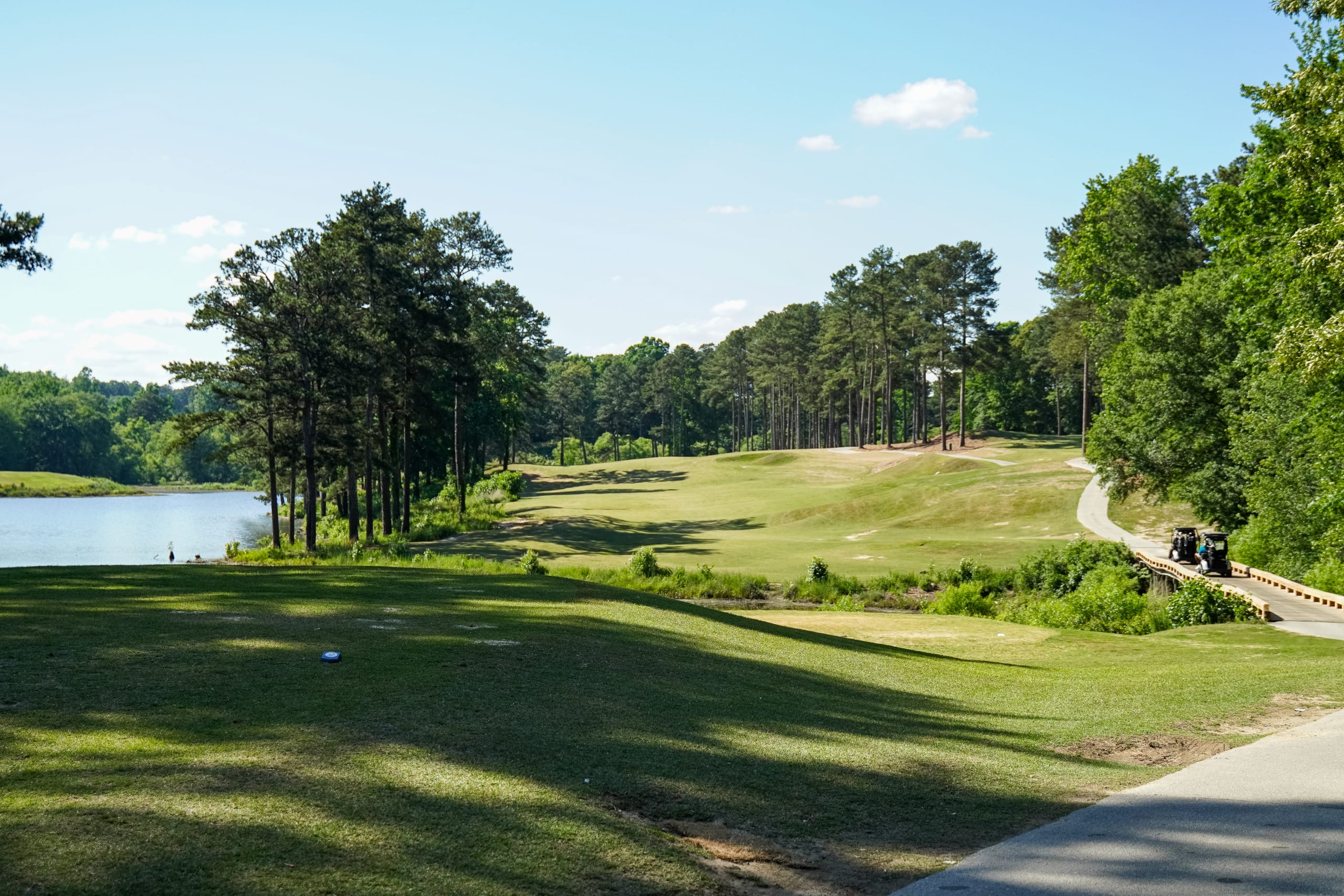 Ultimate Guide to Golf In Atlanta