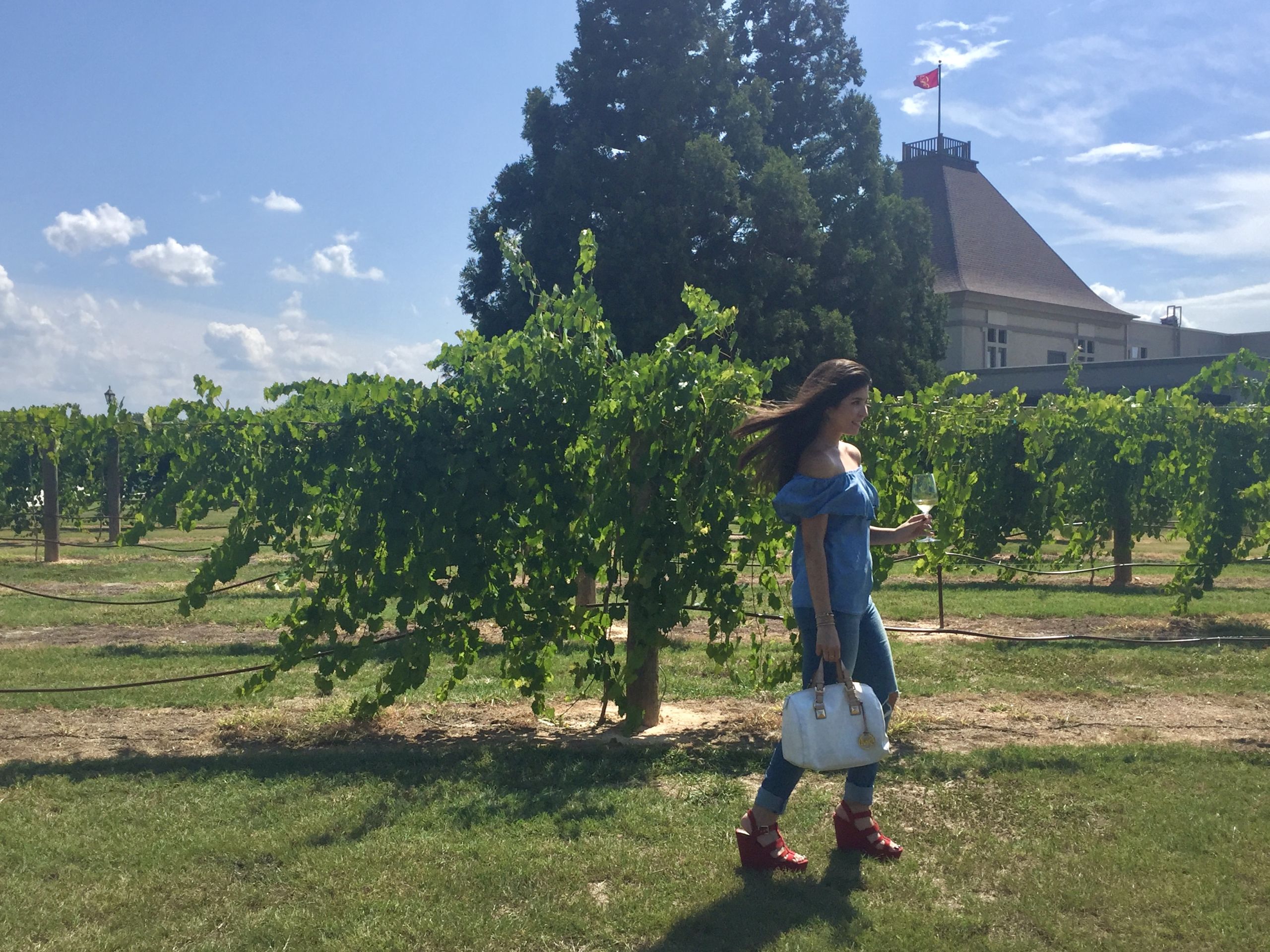 image of Chateau Elan getaway