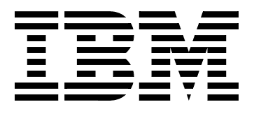 Tech Meetings 8 IBM