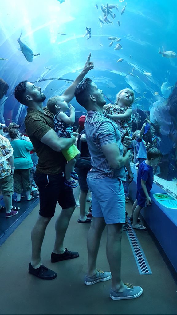 image of the Georgia Aquarium in atlanta ga