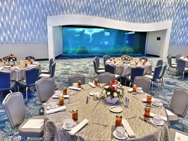 Top Atlanta Attractions Offer Unexpected Event Venues 1 image of Arctic Room at Georgia Aquarium.