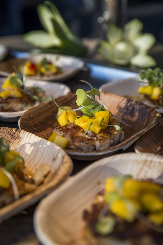 Taste Atlanta’s International Food Culture at the 2025 Food & Wine Festival 5 Assorted appetizers on wooden plates, garnished with microgreens and mango salsa in Atlanta, Georgia.