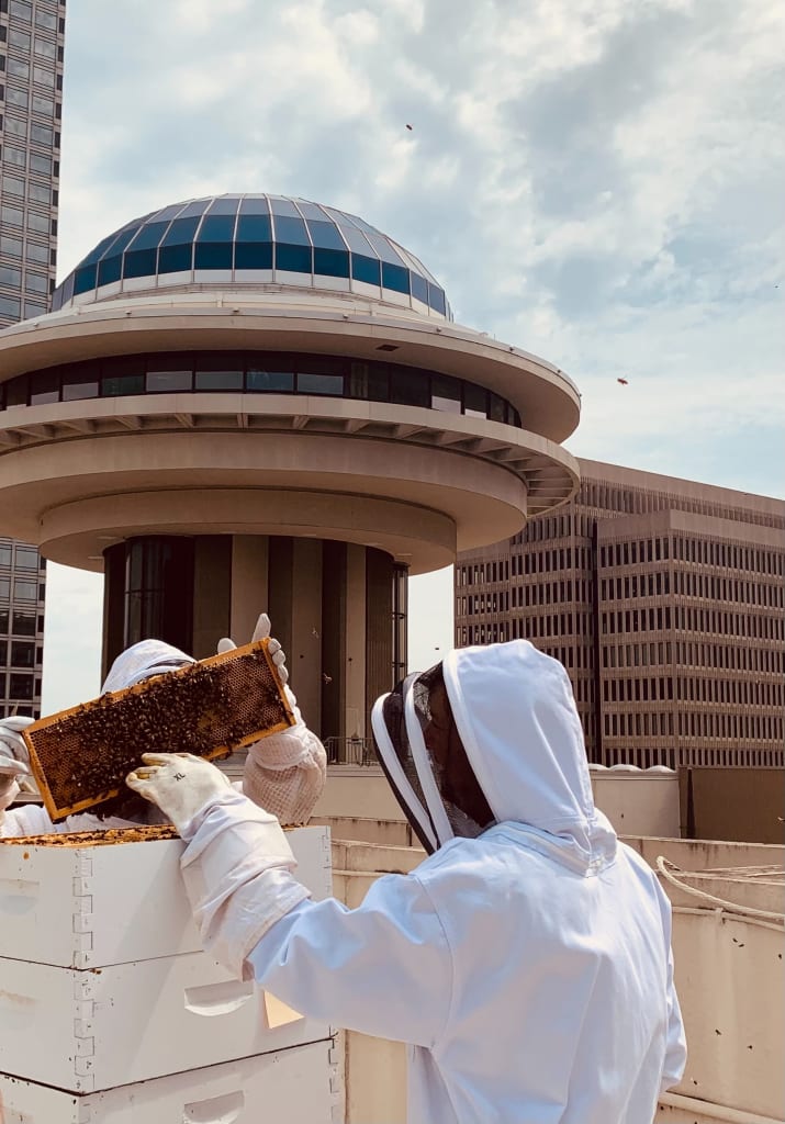 Beekeepers in white suits inspect a beehive on a rooftop with a city skyline in the background in Atlanta, Georgia.