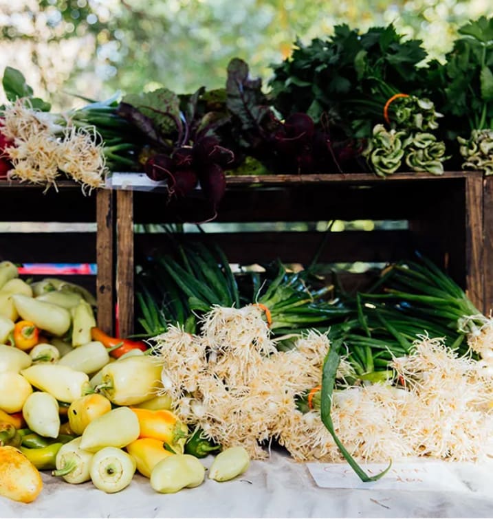 Image of Freedom Farmers Market