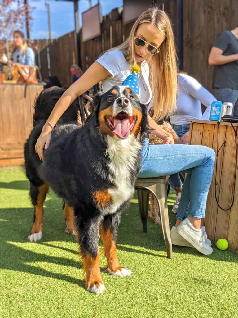 A woman wearing a party hat pets a large, happy dog on a grassy area in Atlanta, Georgia.