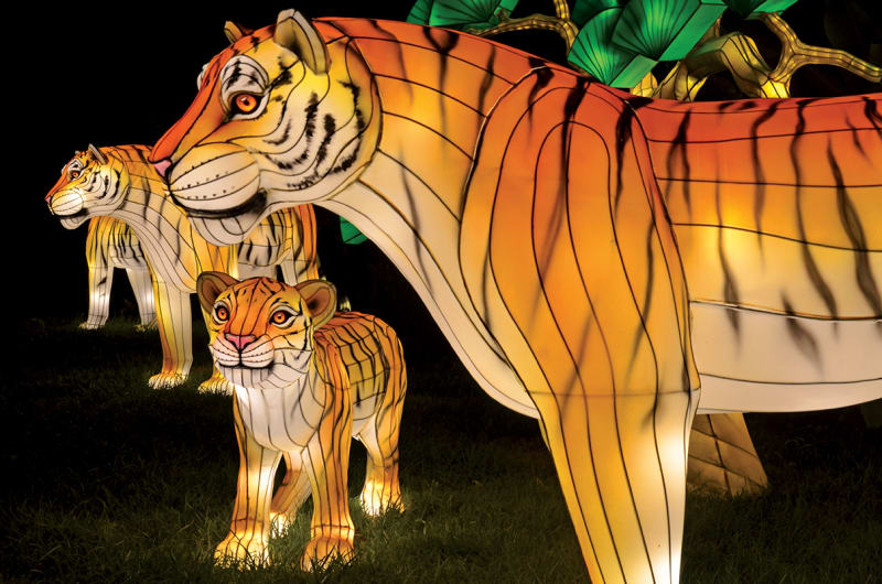 Tickets are now on sale for illuminights at the zoo Festive Holiday Things To Do in Atlanta - Discover Atlanta