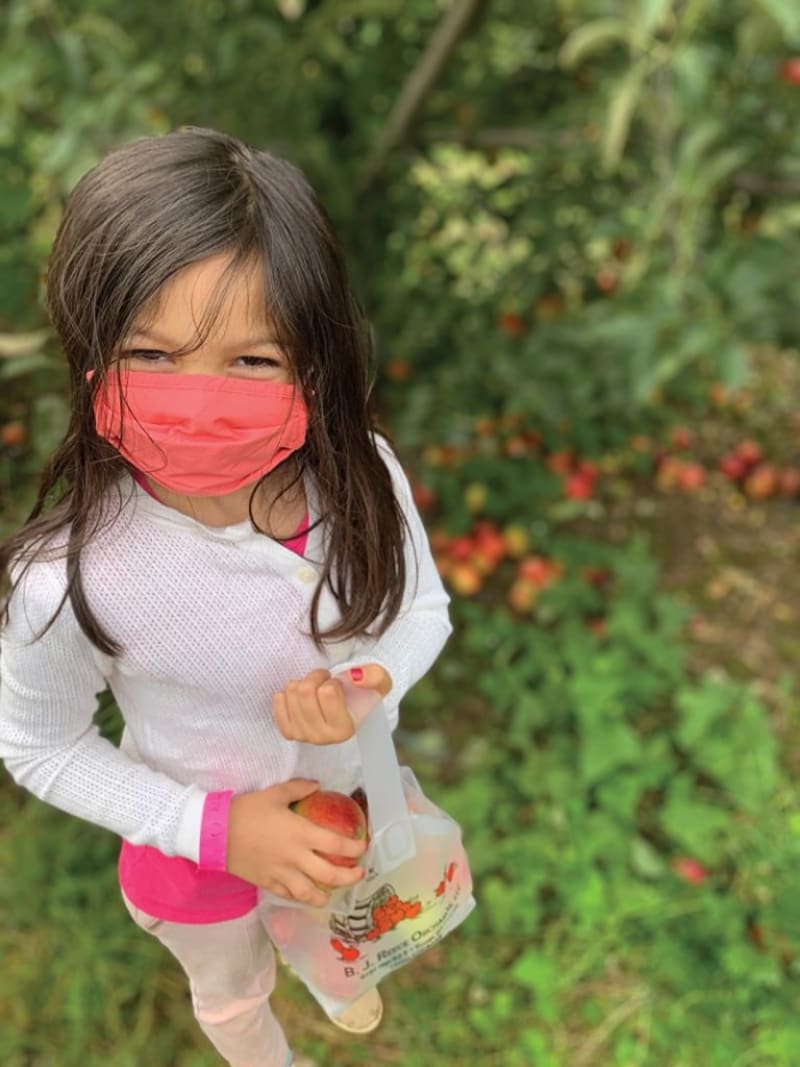 Best Apple Orchards to Visit in Atlanta for Fall Fun 2 Best Apple Orchards to Visit in Atlanta for Fall Fun