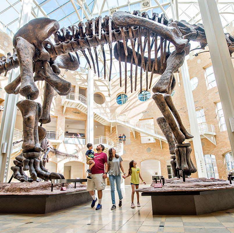 50 Fun Things To Do 106 Fernbank Museum Of Natural History