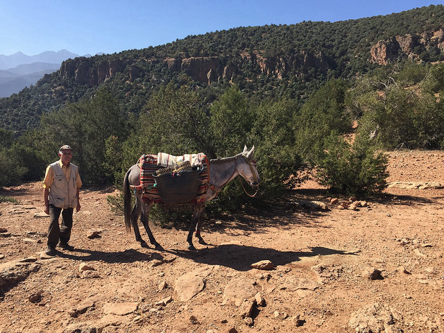 Hiking with the locals in the Atlas Mountains