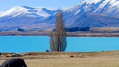 Tekapo and Queenstown: Two Must-Visit Lakes and Towns in New Zealand